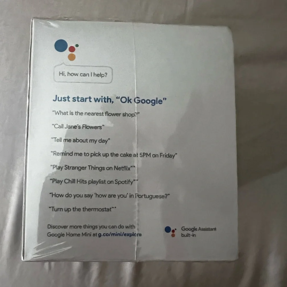 Google Home Mini